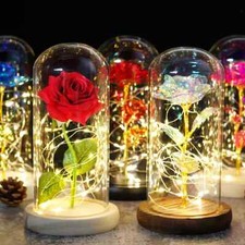 Rosa La Bella E La Bestia San