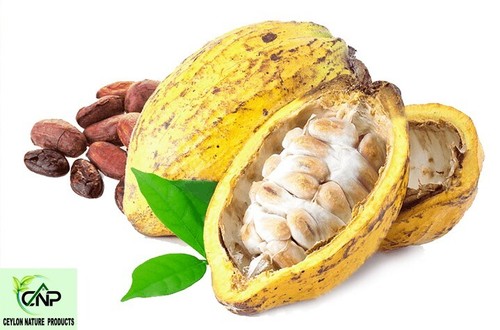 Semi cacao essiccato - semi,