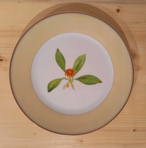 Piatto piattino dolce - piattino,