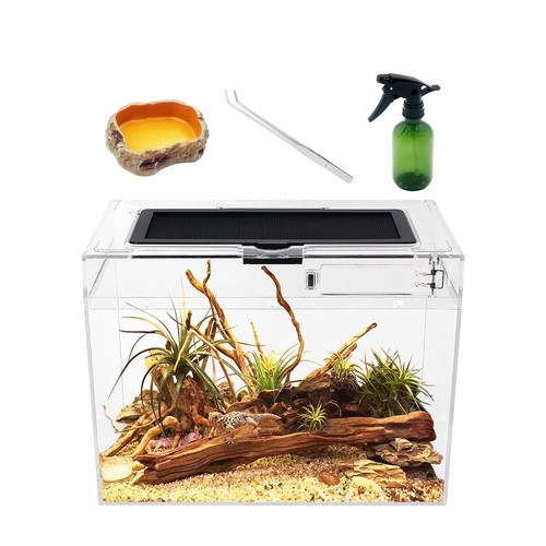 Reptile growth terrario per - growth,