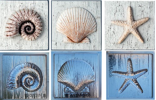 Stampi plastica conchiglia - in,