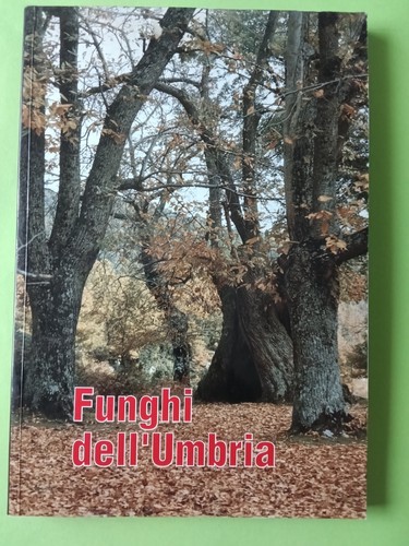 Funghi dell umbria - dell'umbria,