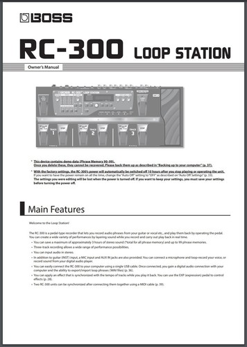 Boss 300 loop station - loop,