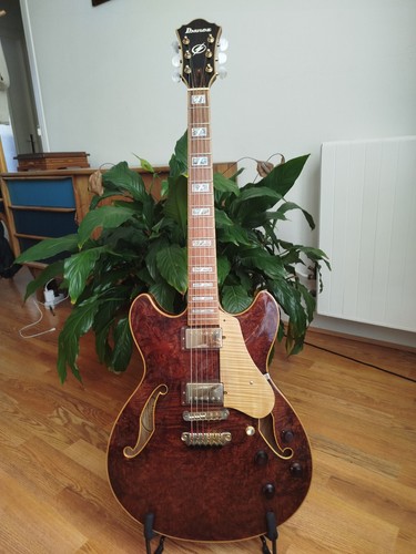 Guitare électrique ibanez - guitare,