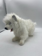 Hansa Bianco Samoiedo Cucciolo