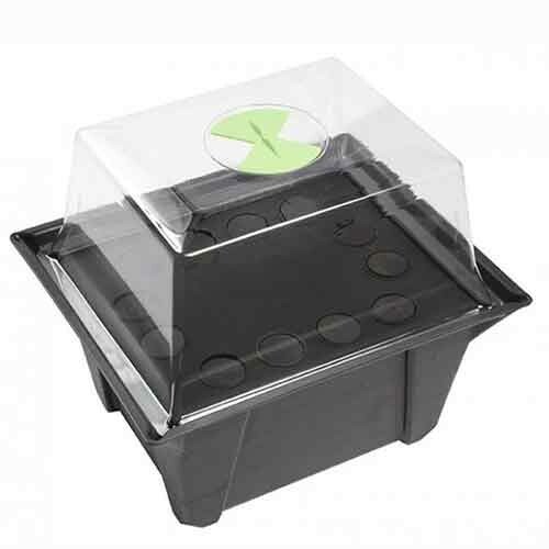 Stream propagator piante - x-stream,