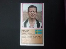 Album Panini Calciatori