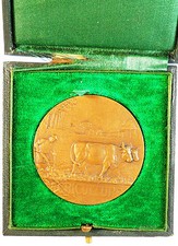 Aratro buoi agricoltura COMICE AGRICOLE, PRECY SOUS THIL di Mattei 46mm