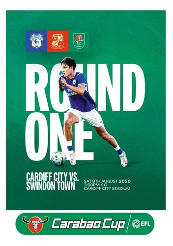 Cardiff city galles - cardiff,