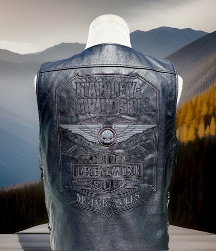 Harley davidson uomo - harley-davidson, wille