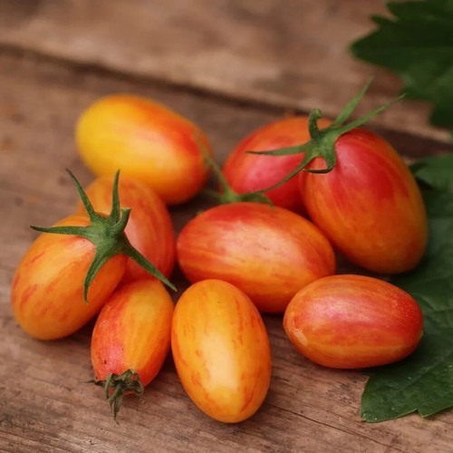 Semi pomodoro cherry - 50,