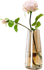 Vaso Moderno in Vetro