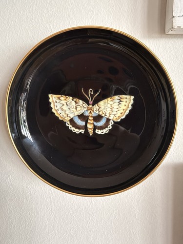 Meissen ciotola parete - meissen, da