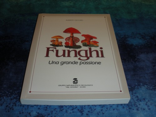 Funghi una grande - funghi, passione
