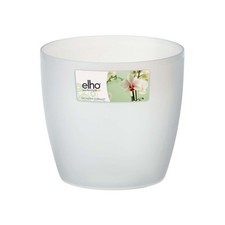 VASO ORCHIDEE BRUSSELS ORCHID