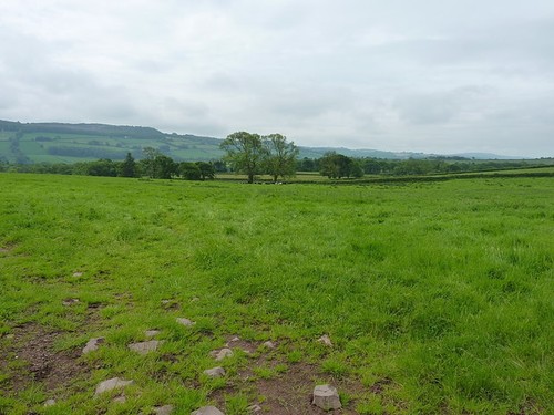 Photo 6x4 fields - 6x4, of