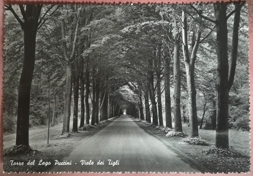 Torre del lago - torre,