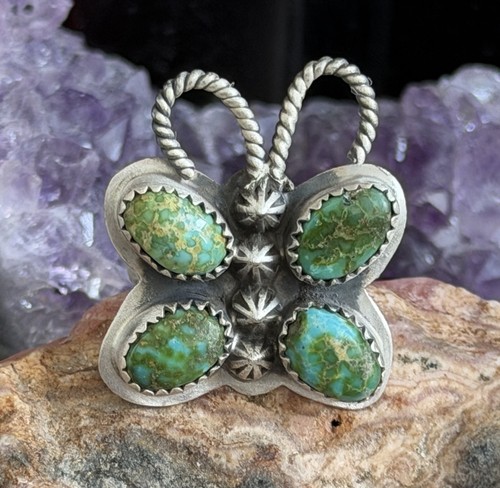Anello sonoran mountain - sonoran,