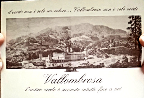 Cartolina vallombrosa saltino - cartolina,