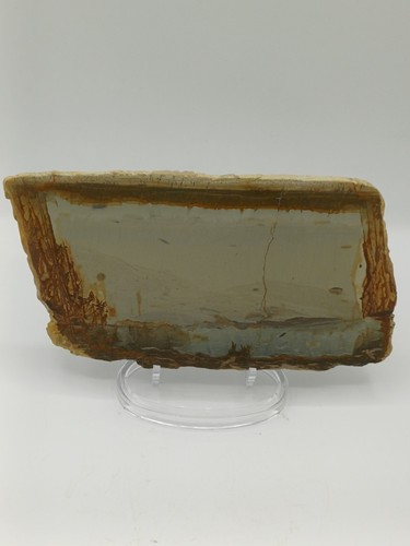 Pietra paesina firenze - di,