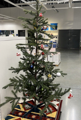 Ikea vinterfint pianta - vinterfint,