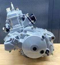 MOTORE ROTAX 123 REVISIONATO APRILIA 125 REBUILT ENGINE MOTOR RS EXTREMA RX