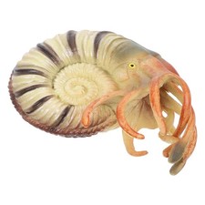  Animali Marini Giocattolo