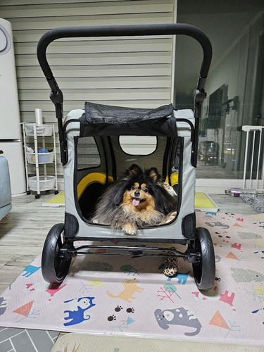 Bingopaw passeggino per - passeggino,