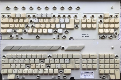 Single key tasto - tasto, singolo