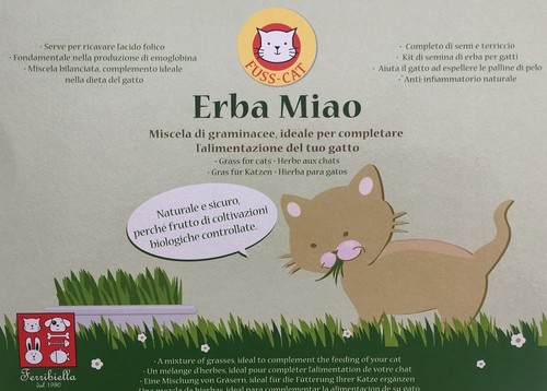 Erba gatta miao kit semi - gatta,