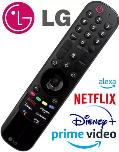Nuovo telecomando vocale - *nuovo*,