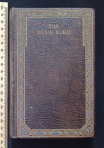 The blue bird fairy play - the,