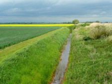 Photo 6x4 Drain on Hook Moor