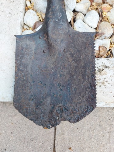 Vanghetta austriaca - vanghetta,