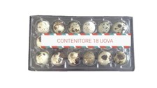 100 CONTENITORI PER 18 UOVA DI