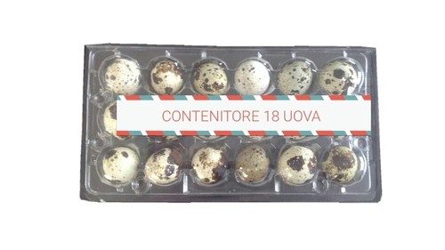 Contenitori per uova di - contenitori,