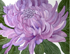 ACQUERELLO PITTURA 11X14 E