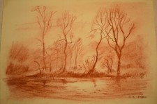 Bertold bastian - bertold,