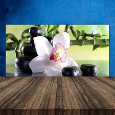 Paraschizzi Retrofornelli