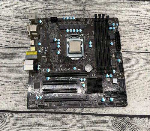 Scheda madre asrock - madre,
