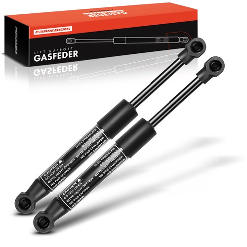 Gas ammortizzatore - 2x,