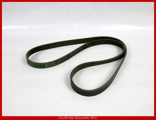 Cinghia servizi poly toyota - servizi, poly-v