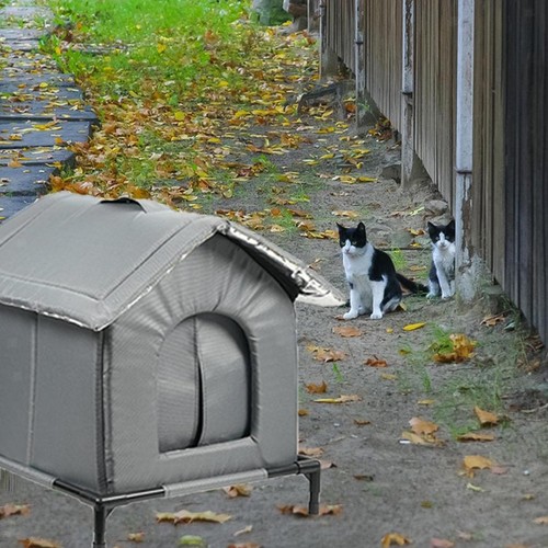 Cuccia per gatti - cuccia, da