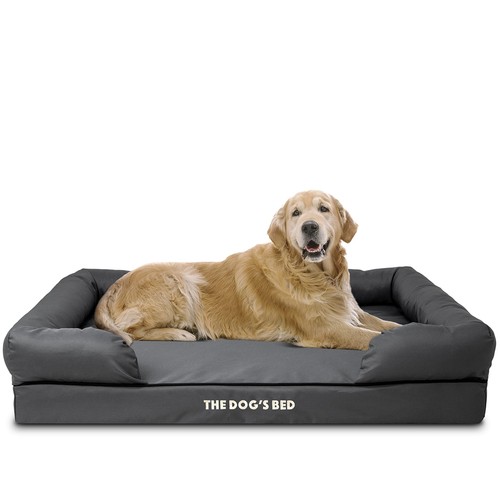 The dog bed letto - the,