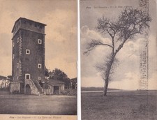 2 CARTOLINE DI PISA ,SAN ROSSORE - LA TORRE E IN RIVA ALL' ARNO viaggiate 1931