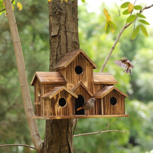Casetta per uccelli legno - per,