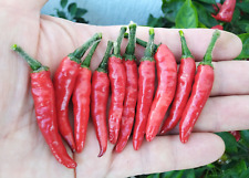 20 semi di peperoncino ACRATA