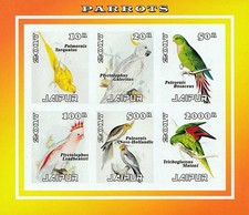 Pappagalli uccelli del mondo - pappagalli,
