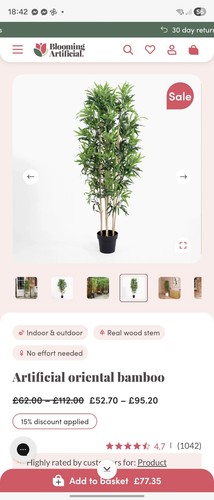 Pianta casa albero - albero, di