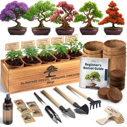 Kit bonsai avergo - kit,